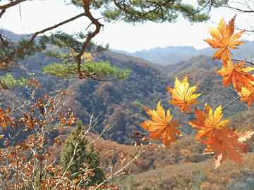 醫(yī)藥人員勵(lì)志語(yǔ)錄與人生哲理，砥礪前行，不負(fù)韶華
