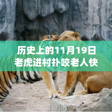 驚魂時(shí)刻與英勇脫險(xiǎn)，猛虎進(jìn)村襲擊老人，快速拉門化險(xiǎn)為夷的傳奇故事