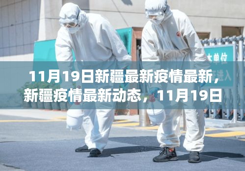 新疆疫情最新動(dòng)態(tài)，11月19日抗疫進(jìn)展與影響概述