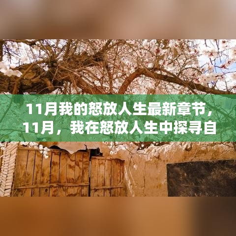 11月探尋自然秘境，怒放人生中的內(nèi)心寧?kù)o與平和