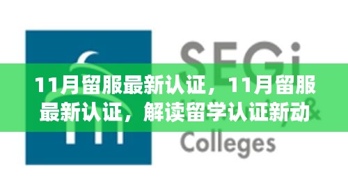 解讀最新留服認證動態(tài)，助力留學(xué)生職業(yè)發(fā)展，十一月留學(xué)認證更新概覽