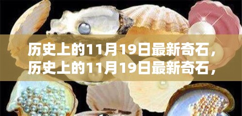 歷史上的11月19日，最新奇石的獨特魅力與深度解析