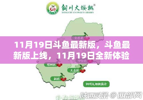 斗魚(yú)最新版上線，全新體驗(yàn)來(lái)襲，11月19日獨(dú)家呈現(xiàn)！