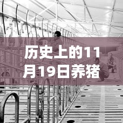 歷史上的11月19日，養(yǎng)豬場(chǎng)用地新政策解讀與操作指南，最新政策解讀及操作指南