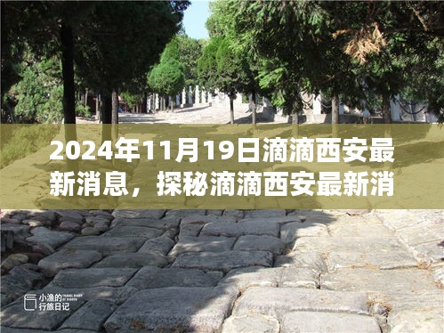 滴滴西安最新動(dòng)態(tài)揭秘，小巷深處的隱藏瑰寶（2024年11月19日更新）