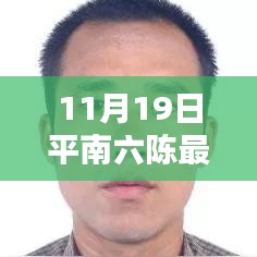 平南六陳最新動態(tài)報道，聚焦要聞，揭秘11月19日最新消息