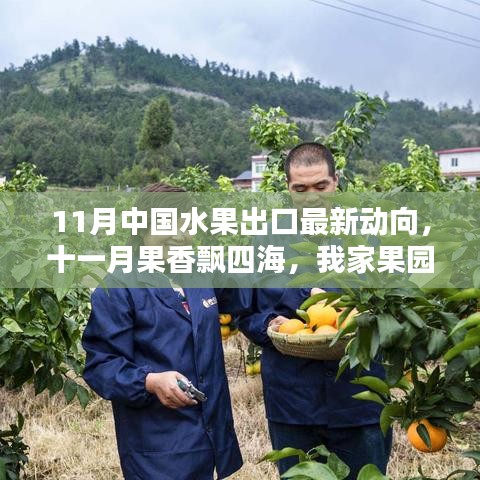 11月水果出口最新動(dòng)態(tài)，果香飄四海，跨國(guó)友情與果園的出口奇遇