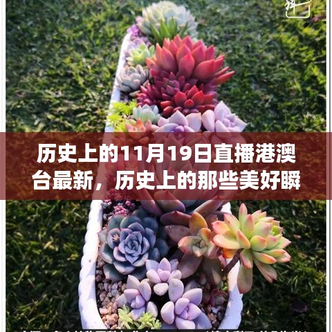 歷史上的美好瞬間，探尋自然美景與心靈的寧靜港灣（直播港澳臺最新）