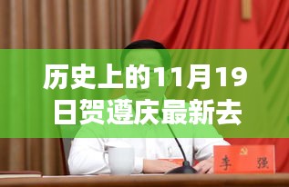賀遵慶的新征程與變化力量，學(xué)習(xí)帶來的自信與成就感揭秘其最新去向。