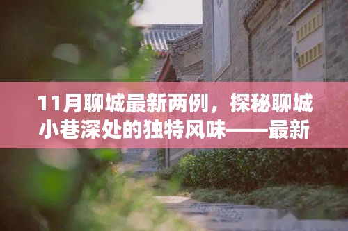 探秘聊城小巷深處，最新發(fā)現(xiàn)的兩家隱藏小店——11月聊城最新兩例獨特風(fēng)味小店