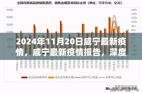 2024年11月20日咸寧疫情報(bào)告，深度解析與競(jìng)品對(duì)比，疫情態(tài)勢(shì)及應(yīng)對(duì)策略