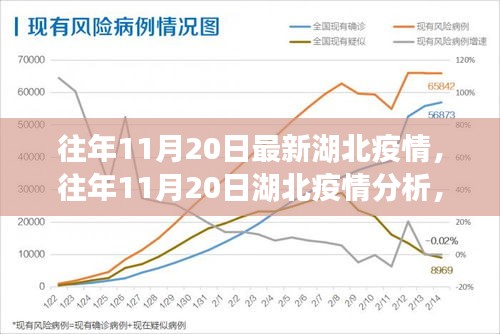 往年11月20日湖北疫情深度分析與解讀，最新數(shù)據(jù)、觀點闡述及趨勢預測