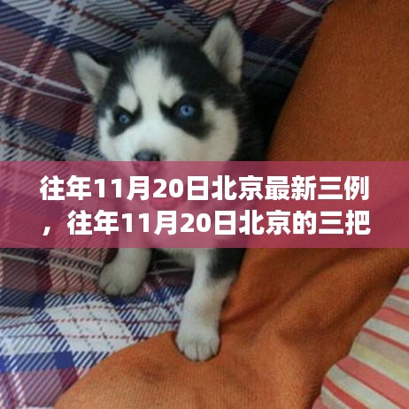 往年11月20日北京三例背后的故事，點(diǎn)燃自信與成就之光的學(xué)習(xí)之旅
