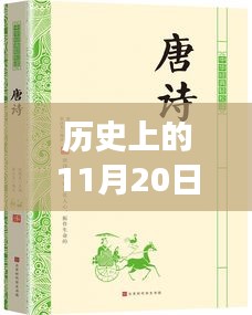 麻衣神算子最新章節(jié)閱讀指南，歷史11月20日更新，初學(xué)者與進(jìn)階用戶必讀