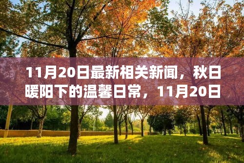 秋日暖陽下的新聞趣事與友情傳遞——最新相關(guān)新聞播報(bào)