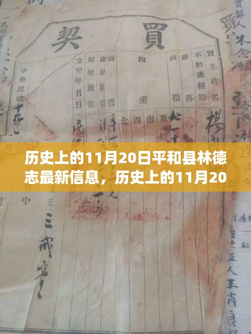 歷史上的11月20日，平和縣林德志最新信息概覽
