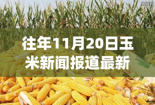 拋磚引玉 第5頁