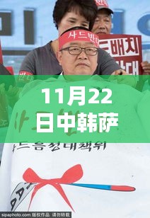 中韓薩德反導系統(tǒng)最新動態(tài)報道（截至11月22日）