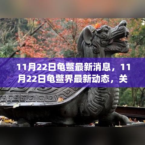 11月22日龜鱉界最新動態(tài)，生態(tài)健康與保護進展關注焦點