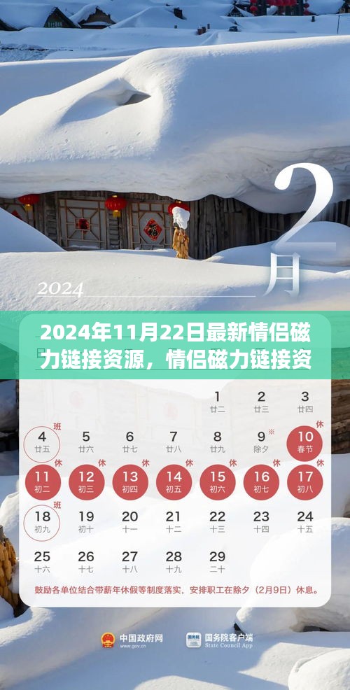 2024年情侶磁力鏈接資源新動(dòng)態(tài)，探索最新進(jìn)展與資源