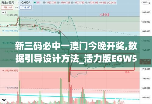 新三碼必中一澳門今晚開獎,數(shù)據(jù)引導(dǎo)設(shè)計方法_活力版EGW5.82