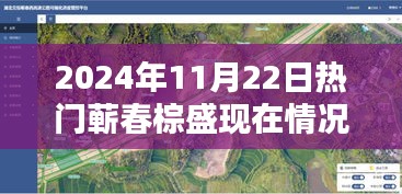 蘄春棕盛2024年11月22日現(xiàn)狀揭秘，日常溫馨與奇遇