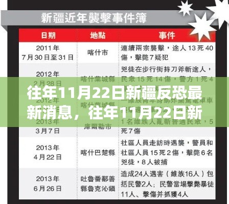 往年11月22日新疆反恐最新動態(tài)，全面解讀與深度分析