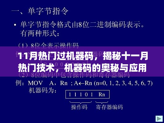 揭秘十一月熱門機(jī)器碼技術(shù)，應(yīng)用與奧秘探究