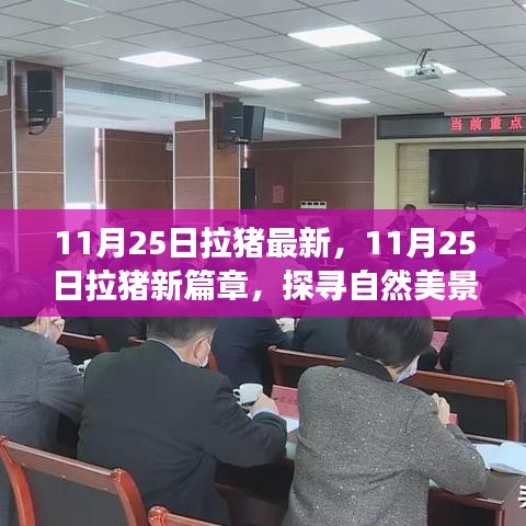 聯(lián)系我們 第784頁