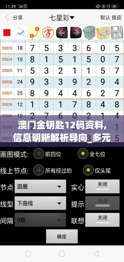 澳門(mén)金鑰匙12碼資料,信息明晰解析導(dǎo)向_多元文化版HPN13.63