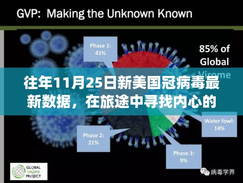 11月25日新冠病毒數(shù)據(jù)下的自然美景之旅，心靈寧?kù)o的旅途
