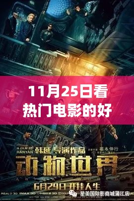 11月25日熱門電影網(wǎng)站之旅，光影中的成長與自信之源