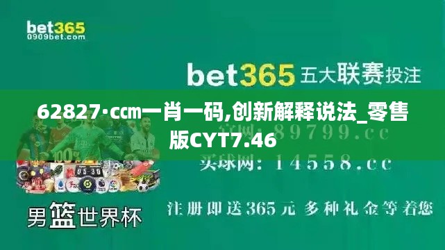62827·c㎝一肖一碼,創(chuàng)新解釋說法_零售版CYT7.46