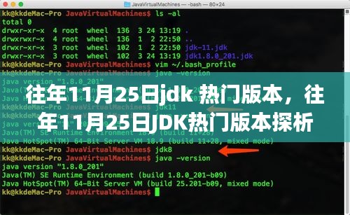 往年11月25日J(rèn)DK熱門版本深度解析，觀點(diǎn)與個(gè)人立場(chǎng)探討