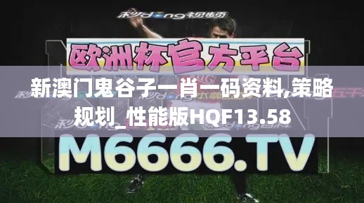 新澳門(mén)鬼谷子一肖一碼資料,策略規(guī)劃_性能版HQF13.58