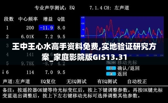 王中王心水高手資料免費(fèi),實地驗證研究方案_家庭影院版GIS13.31