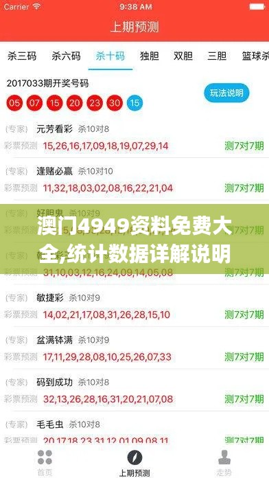 澳門(mén)4949資料免費(fèi)大全,統(tǒng)計(jì)數(shù)據(jù)詳解說(shuō)明_閃電版XKO13.17