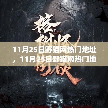 揭秘野貓網(wǎng)熱門地址背后的故事，背景、事件、影響與時代地位解析