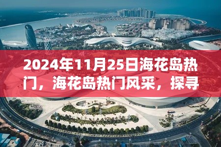探尋?；◢u的獨(dú)特魅力，2024年11月25日的熱門風(fēng)采展示