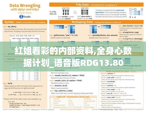 紅姐看彩的內(nèi)部資料,全身心數(shù)據(jù)計劃_語音版RDG13.80