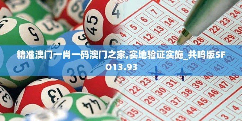 精準(zhǔn)澳門一肖一碼澳門之家,實地驗證實施_共鳴版SFO13.93