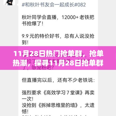 探尋搶單熱潮背后的故事，揭秘11月28日搶單群影響力與故事