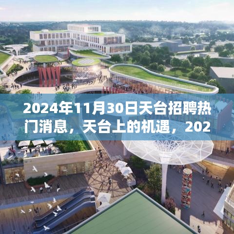 2024年11月30日天臺招聘熱門消息，探尋天臺上的職業(yè)機(jī)遇