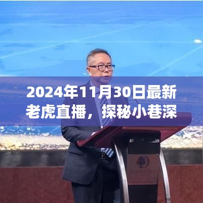 探秘小巷深處的獨(dú)特直播間，揭秘隱藏版特色小店，老虎直播獨(dú)家呈現(xiàn)