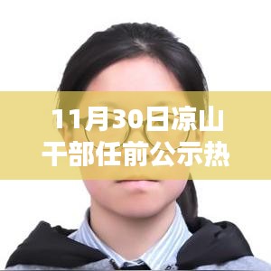 涼山干部任前公示操作指南，從零起步到公示完成全解析