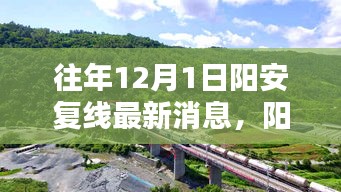 陽安復(fù)線最新動態(tài)，陽光下的重逢與溫馨日常