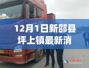 新邵縣坪上鎮(zhèn)最新動態(tài)報道，深度解析十二月一日最新消息