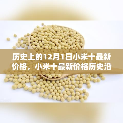 小米十最新價(jià)格深度解析，歷史沿革、目標(biāo)用戶群體分析與深度評(píng)測(cè)報(bào)告