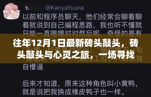 尋找內(nèi)心平靜的奇妙冒險(xiǎn)，磚頭敲頭與心靈之旅