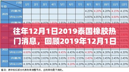 回顧與展望，泰國橡膠業(yè)熱門消息揭秘，風(fēng)起云涌的變革與深遠影響——2019年泰國橡膠市場綜述